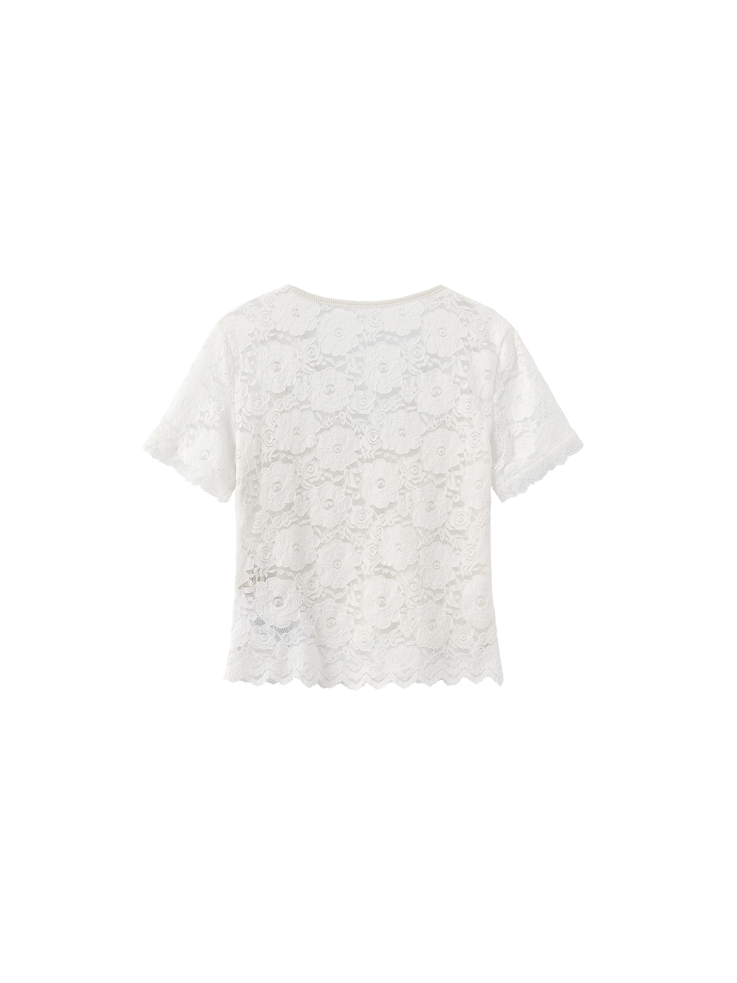 V-Neck Lace Short-Sleeve T-Shirt