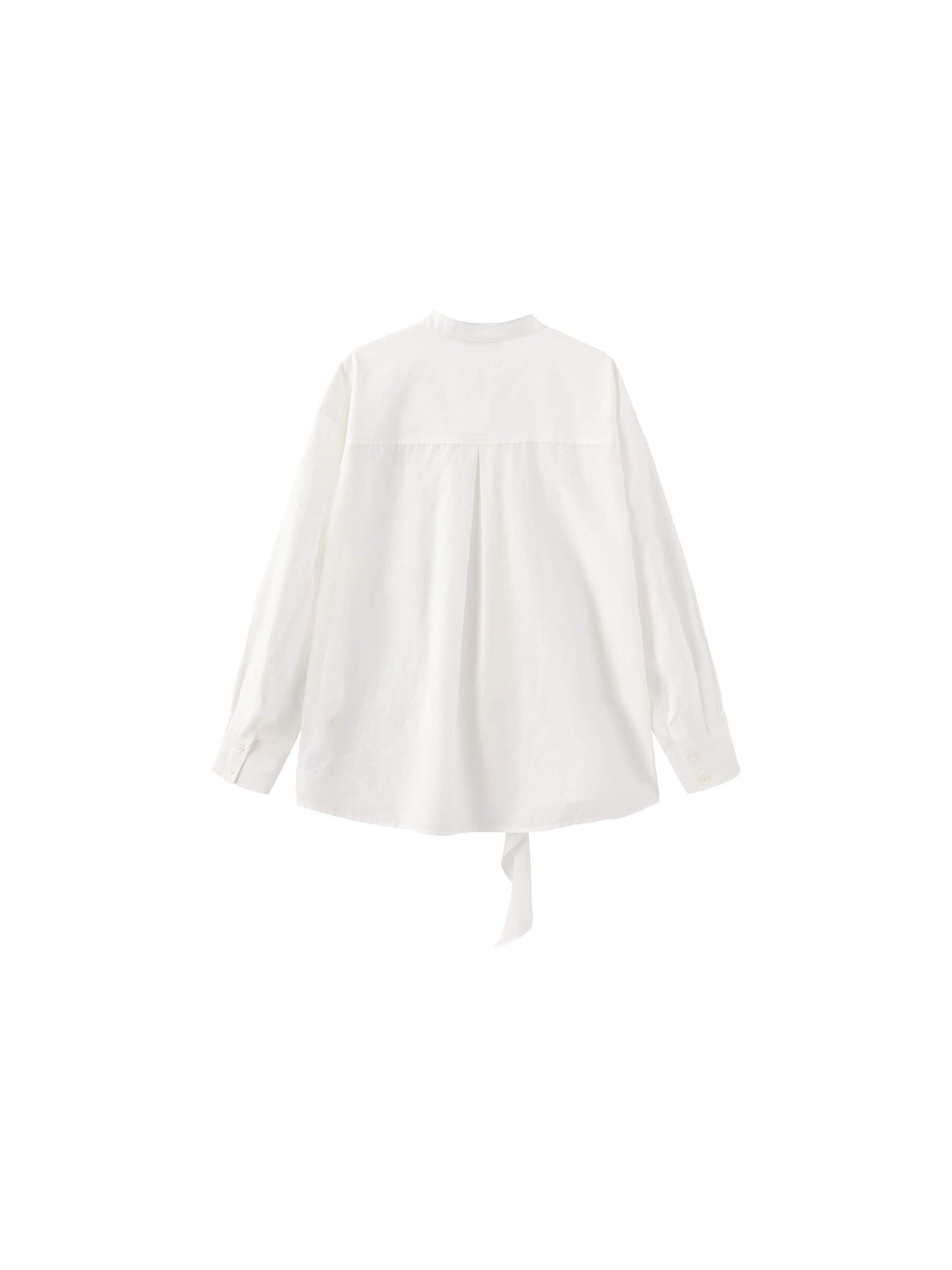 Ruffle Neck Tie Long Sleeve Shirt
